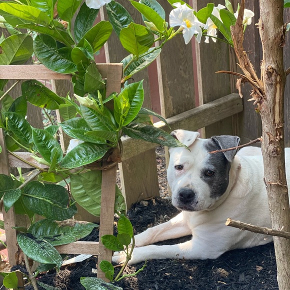 Meet your Posher, Heather - Picture 5 of 5